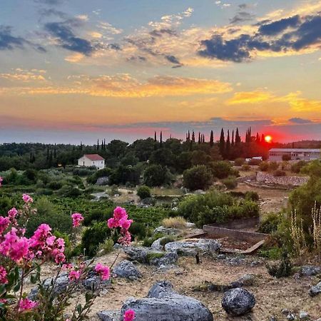 Apartmán Le Petit 2 Čilipi Exteriér fotografie