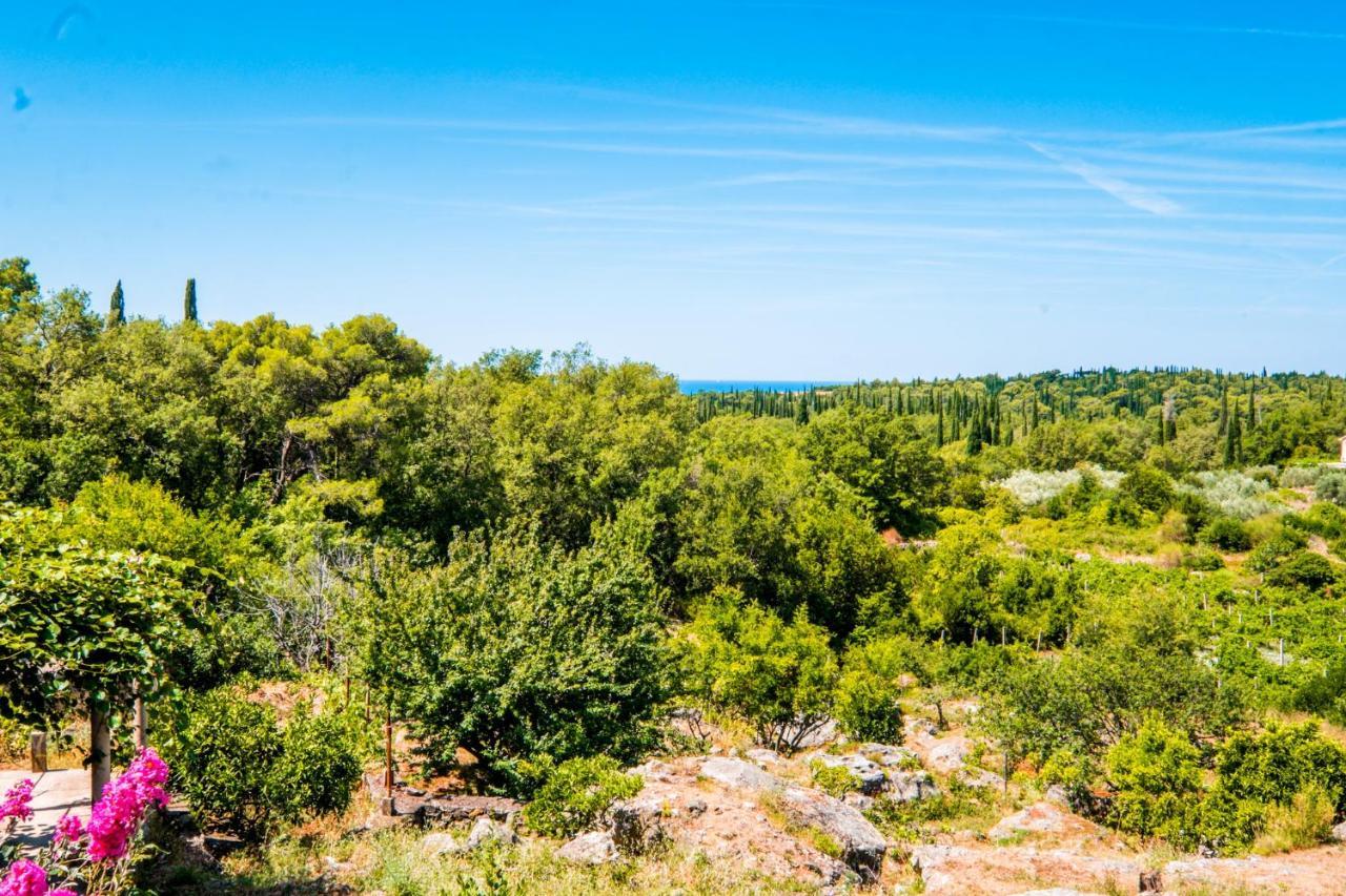 Apartmán Le Petit 2 Čilipi Exteriér fotografie