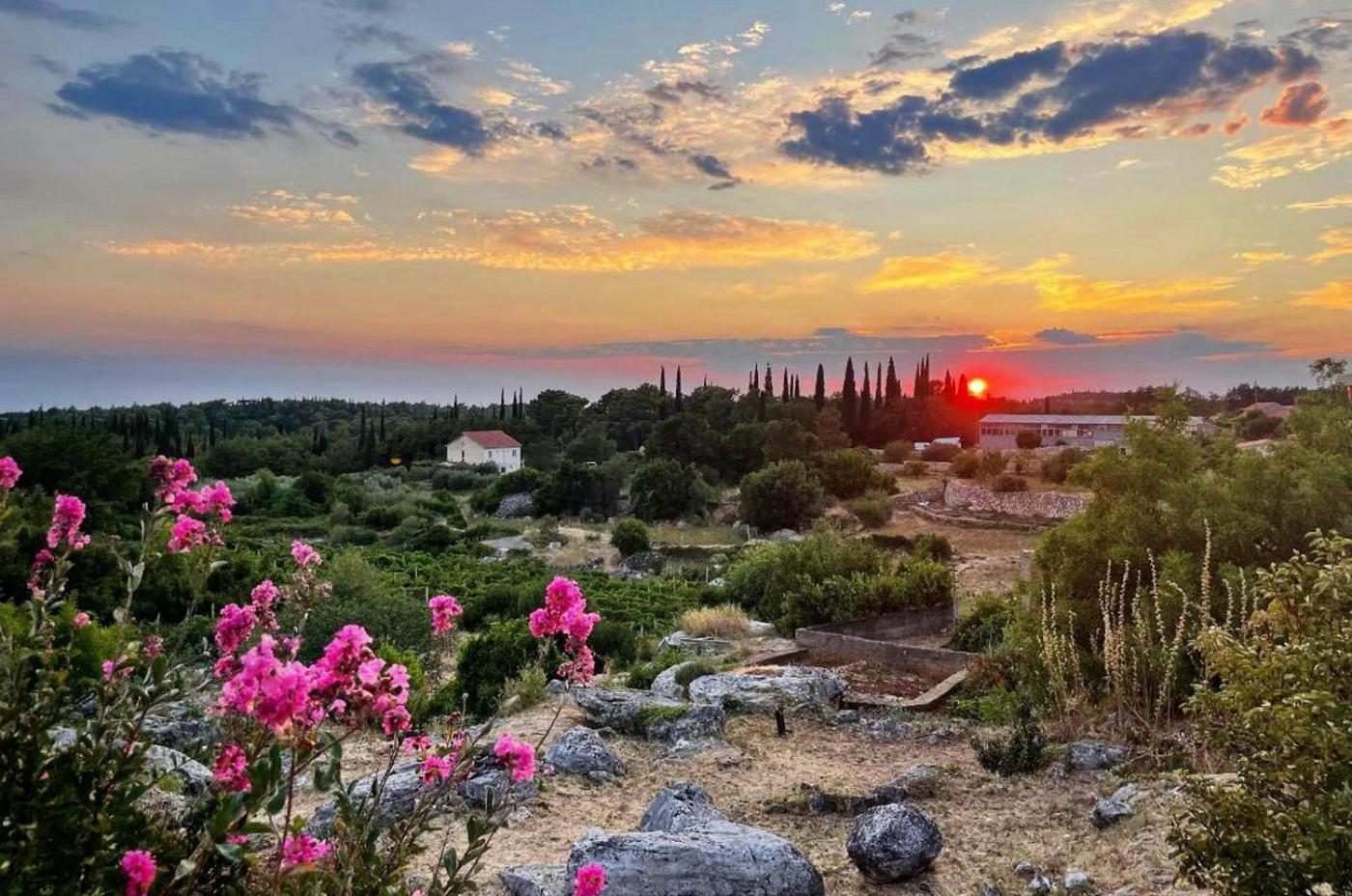 Apartmán Le Petit 2 Čilipi Exteriér fotografie